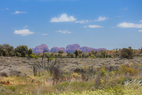 Overnight Uluru (Ayers Rock) Small-Group Camping Tour - Events Australia 0