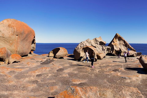 Full-Day Kangaroo Island Experience Departing From Kangaroo Island - Events Australia 4