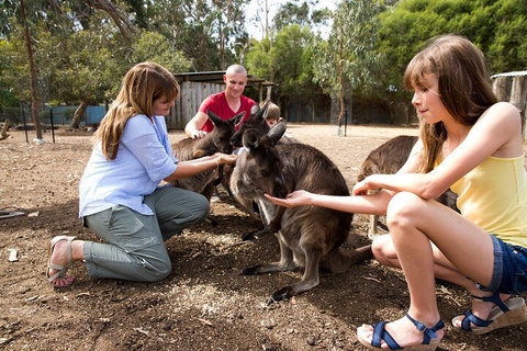 Full-Day Kangaroo Island Experience Departing From Kangaroo Island - Events Australia 5