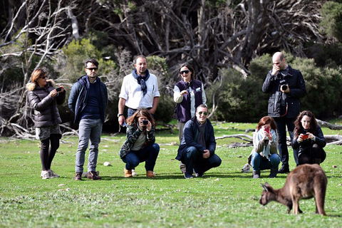 Small-Group Kangaroo Island 4WD Tour From Adelaide - Events Australia 2