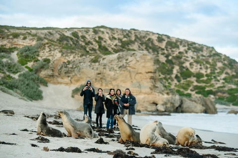 Small-Group Kangaroo Island 4WD Tour From Adelaide - Events Australia 4