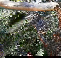 Small-Group Great Ocean Road Day Trip from Melbourne - Events Australia