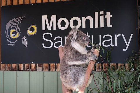 Small-Group Phillip Island Day Trip From Melbourne - Tourism Bookings 3