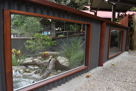 Kuranda Koala Gardens And Birdworld Admission Tickets - Events Australia 4