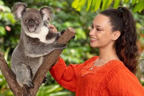 Kuranda Wildlife Experience Three Attraction Pass - Events Australia 4