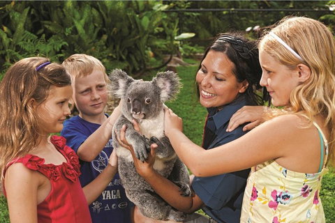 Kuranda Koala Gardens General Entry Ticket - Events Australia 0