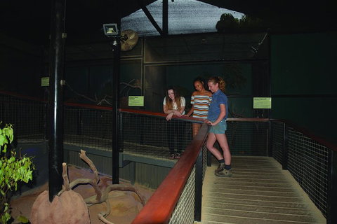 Kuranda Koala Gardens General Entry Ticket - Events Australia 2