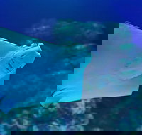 Cairns Aquarium Family Ticket - Events Australia