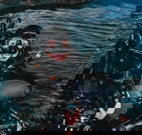 Cairns Aquarium Dive with the Sharks - Events Australia