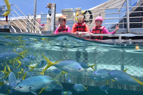 Outer Reef Pontoon Experience From Cairns - Events Australia 0