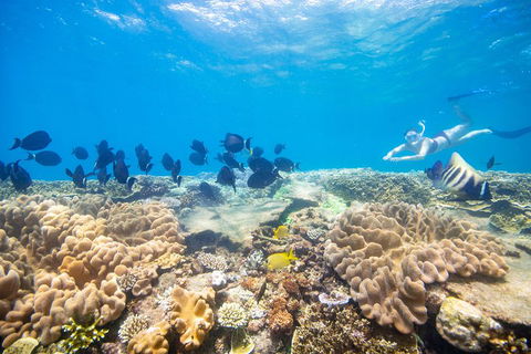 Outer Reef Pontoon Experience From Cairns - Events Australia 4