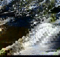 Cradle Mountain Day Tour from Launceston Including Lunch - Events Australia