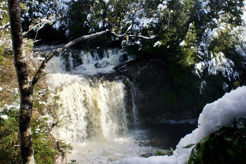 Cradle Mountain Day Tour From Launceston Including Lunch - Tourism Bookings 0