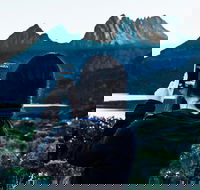 Cradle Mountain Park Explorer Guided Tour - Events Australia