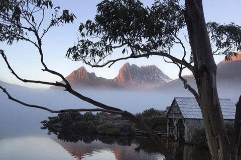 Cradle Mountain Park Explorer Guided Tour - Events Australia 5