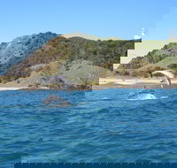 Kayaking with Dolphins in Byron Bay Guided Tour - Events Australia