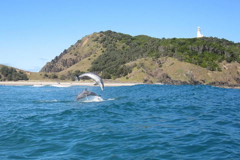 Kayaking With Dolphins In Byron Bay Guided Tour - Events Australia 0