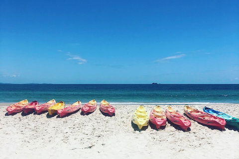 Kayaking With Dolphins In Byron Bay Guided Tour - Events Australia 1