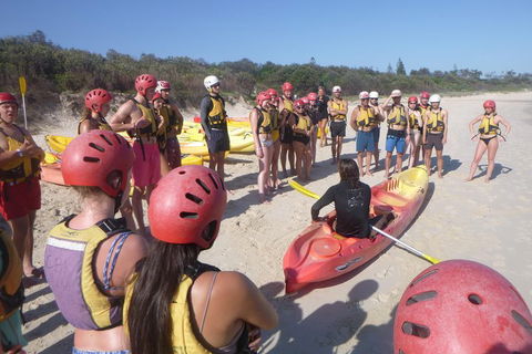 Kayaking With Dolphins In Byron Bay Guided Tour - Events Australia 2