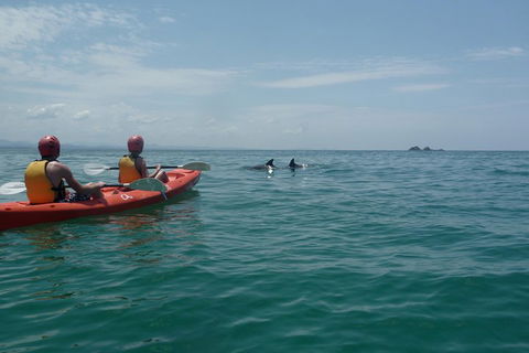 Kayaking With Dolphins In Byron Bay Guided Tour - Events Australia 4