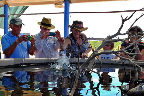 Cape Leveque 4WD Tour From Broome With Optional Return Flight - Events Australia 0