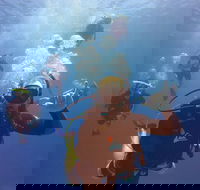 12-Day Great Barrier Reef Marine Conservation Program from Cairns - Events Australia