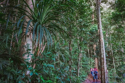 Atherton Tablelands Rain Forest By Night From Cairns - Events Australia 0