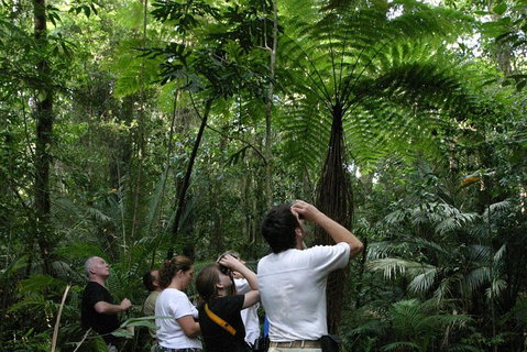 Atherton Tablelands Rain Forest By Night From Cairns - Events Australia 3