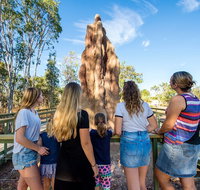 Litchfield National Park Waterfalls and Wildlife Tour from Darwin - Events Australia