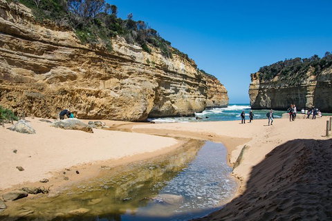 Great Ocean Road Reverse Itinerary With 12 Apostles From Melbourne - Events Australia 2