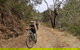 Mount Lofty Descent Bike Tour From Adelaide - thumb 0
