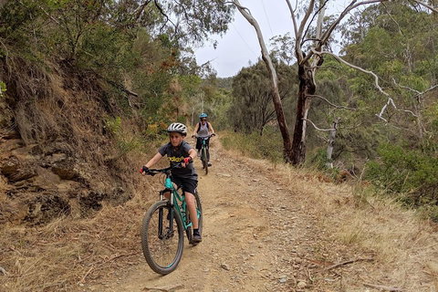 Mount Lofty Descent Bike Tour From Adelaide - Tourism Bookings 0