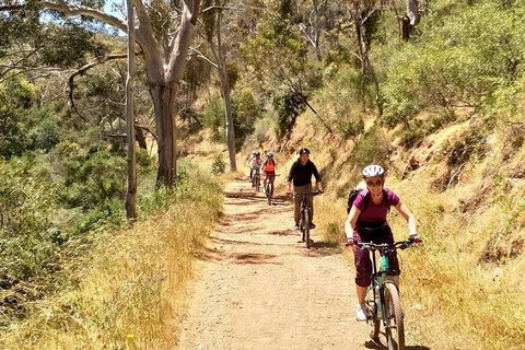 Mount Lofty Descent Bike Tour From Adelaide - Tourism Bookings 3