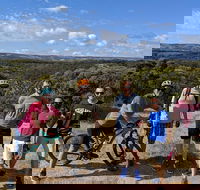 McLaren Vale Wine Tour by Bike - Events Australia