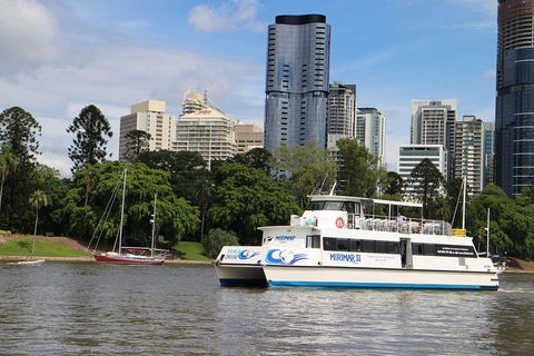 Lone Pine Koala Sanctuary Admission With Brisbane River Cruise - Events Australia 2