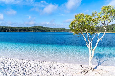 Lake McKenzie Full-Day Tour With Lunch From Hervey Bay - Tourism Bookings 1