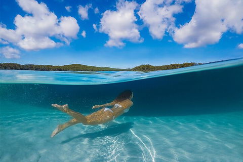 Lake McKenzie Full-Day Tour With Lunch From Hervey Bay - Tourism Bookings 5