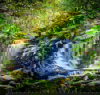 Day Tour in Mt. Field Mt. Wellington Bonorong Wildlife Sanctuary and Richmond - Events Australia