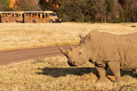 Sunset Safari At Werribee Open Range Zoo - Events Australia 1