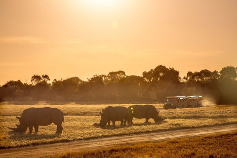 Sunset Safari At Werribee Open Range Zoo - Events Australia 2