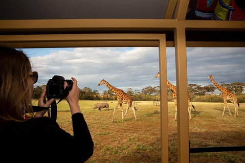 Sunset Safari At Werribee Open Range Zoo - Events Australia 4