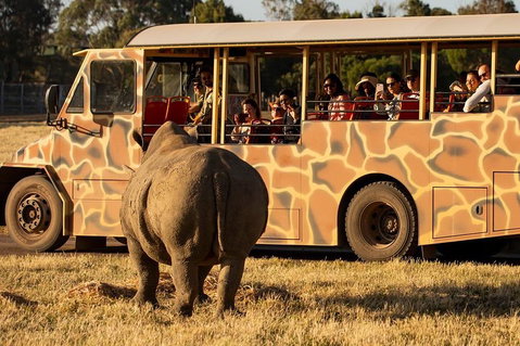 Sunset Safari At Werribee Open Range Zoo - Events Australia 5