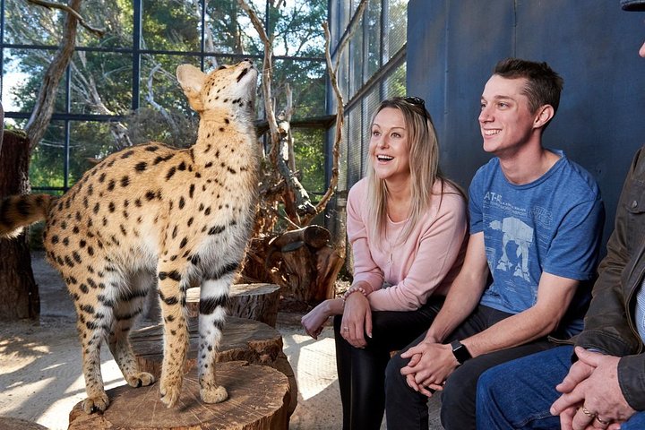 Melbourne VIC Tourism Bookings