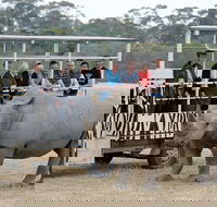 Off-Road Safari at Werribee Open Range Zoo - Events Australia