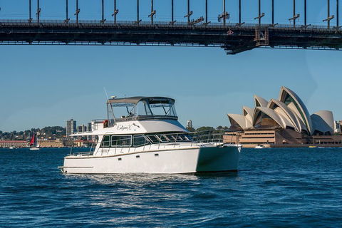 Vivid 90-Minute Sydney Harbour Small Group Catamaran Cruise - Events Australia 2