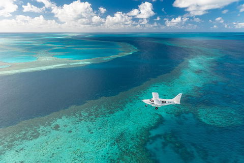 Scenic Flight - Great Barrier Reef, Heart Reef, Whitehaven Beach & Hill Inlet! - Events Australia 3