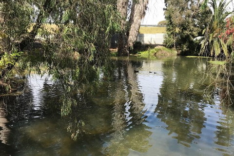 Perth East Foreshore And City Segway Tour - Accommodation Europe 1