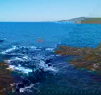 Julian Rocks Byron Bay Cruise - Events Australia