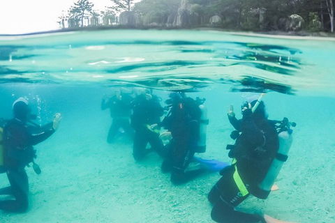 3 Day Whitsundays Sailing And Diving Adventure: Kiana - Events Australia 4