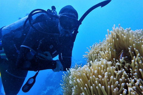 3 Day Whitsundays Sailing And Diving Adventure: Kiana - Events Australia 5